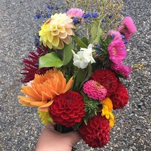 Meet your Posher, Jess